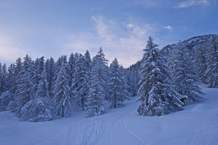 2021-01-22-24-ski-chalet-alpage-coueimian, alpes-aventure-ski-randonnee-chalet-alpage-coueimian-la-croix-col-anon-2021-01-23-07