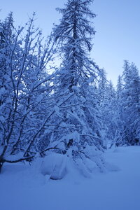 2021-01-22-24-ski-chalet-alpage-coueimian, alpes-aventure-ski-randonnee-chalet-alpage-coueimian-le-simous-2021-01-24-003