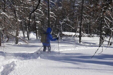 2021-01-22-24-ski-chalet-alpage-coueimian, alpes-aventure-ski-randonnee-chalet-alpage-coueimian-le-simous-2021-01-24-120