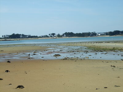 Roscoff 2010<br>@copyleft <a href=https://www.le-fab-lab.com>Le Fab'Blab</a> Licence Art Libre, roscoff-34-plage-groa-rouz