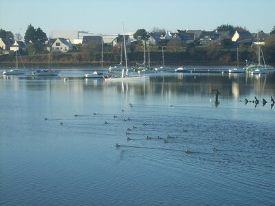 La Base Lorient 2010<br>@copyleft <a href=https://www.le-fab-lab.com>Le Fab'Blab</a> Licence Art Libre, keroman-01