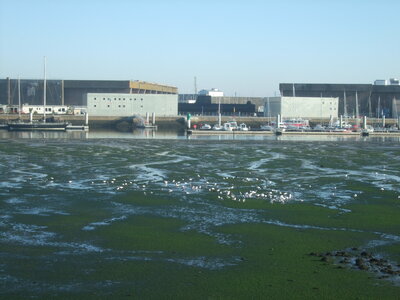 La Base Lorient 2010<br>@copyleft <a href=https://www.le-fab-lab.com>Le Fab'Blab</a> Licence Art Libre, keroman-vase-oiseaux-02
