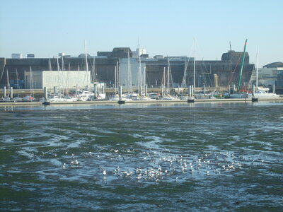 La Base Lorient 2010<br>@copyleft <a href=https://www.le-fab-lab.com>Le Fab'Blab</a> Licence Art Libre, keroman-vase-oiseaux-03