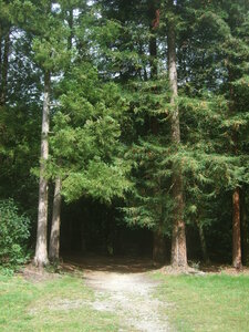 Calan, Pontcallec, Sainte-Anne des Bois<br>@copyleft <a href=https://www.le-fab-lab.com>Le Fab'Blab</a> Licence Art Libre, parc-chateau-pontcallec01