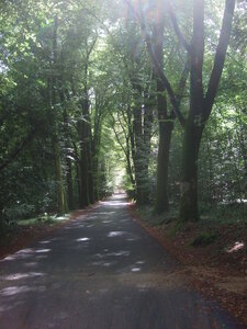 Calan, Pontcallec, Sainte-Anne des Bois<br>@copyleft <a href=https://www.le-fab-lab.com>Le Fab'Blab</a> Licence Art Libre, parc-chateau-pontcallec02