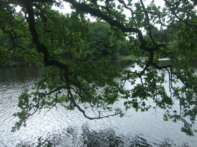 Calan, Pontcallec, Sainte-Anne des Bois<br>@copyleft <a href=https://www.le-fab-lab.com>Le Fab'Blab</a> Licence Art Libre, parc-chateau-pontcallec08