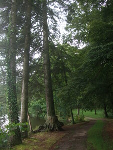 Calan, Pontcallec, Sainte-Anne des Bois<br>@copyleft <a href=https://www.le-fab-lab.com>Le Fab'Blab</a> Licence Art Libre, parc-chateau-pontcallec09