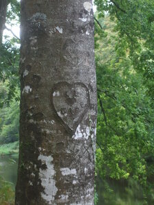 Camors 2011<br>@copyleft <a href=https://www.le-fab-lab.com>Le Fab'Blab</a> Licence Art Libre, camors-etang-petit-bois-04