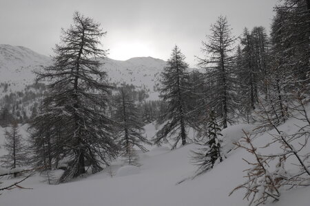 2021-01-27-31-ski-buffere, alpes-aventure-ski-randonnee-buffere-2021-01-29-007