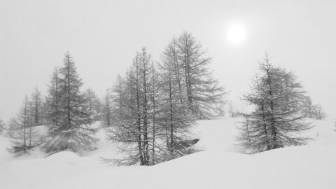 2021-01-27-31-ski-buffere, alpes-aventure-ski-randonnee-buffere-2021-01-29-020