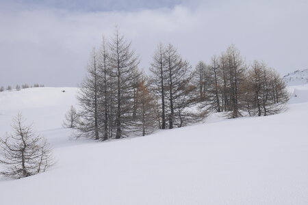 2021-01-27-31-ski-buffere, alpes-aventure-ski-randonnee-buffere-2021-01-30-004