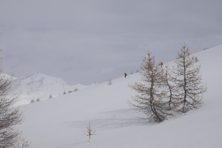 2021-01-27-31-ski-buffere, alpes-aventure-ski-randonnee-buffere-2021-01-30-005