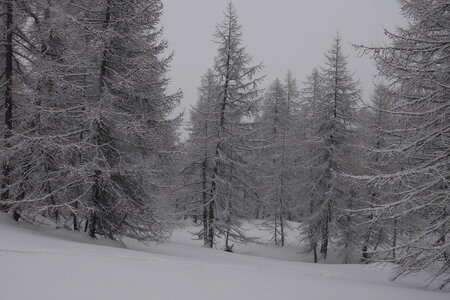2021-02-06-07-chalet-alpage-coueimian, alpes-aventure-ski-randonnee-chalte-alpage-coueimian-2021-02-07-04