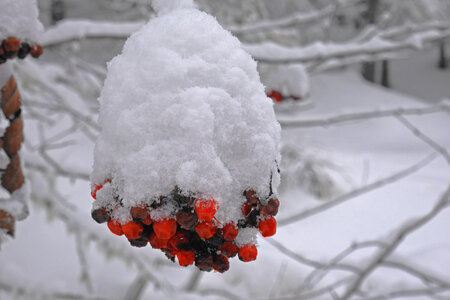 2021-02-06-07-chalet-alpage-coueimian, alpes-aventure-ski-randonnee-chalte-alpage-coueimian-2021-02-07-09