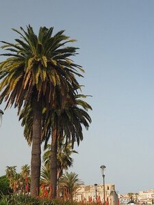 BALADE BUCOLIQUE DANS ANTIBES, 0020