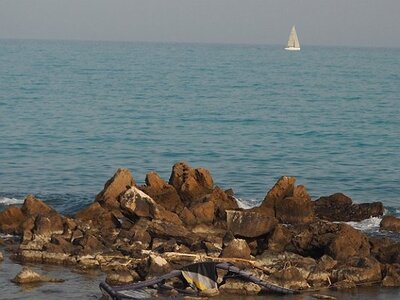 BALADE BUCOLIQUE DANS ANTIBES, 0025