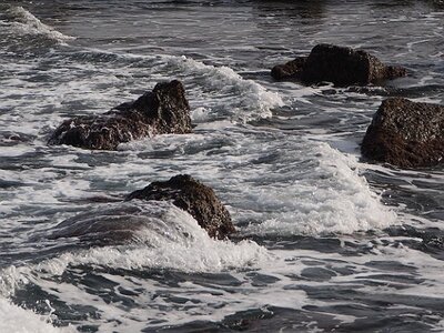 BALADE BUCOLIQUE DANS ANTIBES, 0031