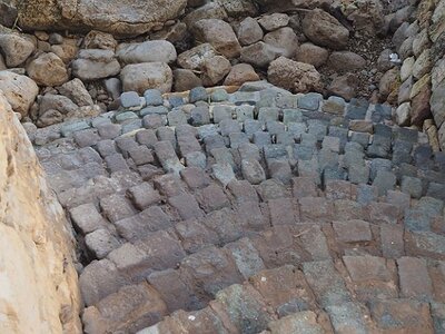 BALADE BUCOLIQUE DANS ANTIBES, 0036