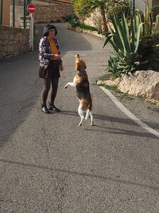 BALADE BUCOLIQUE DANS ANTIBES, 0046