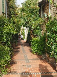 BALADE BUCOLIQUE DANS ANTIBES, 0051