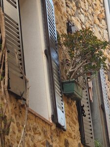 BALADE BUCOLIQUE DANS ANTIBES, 0053