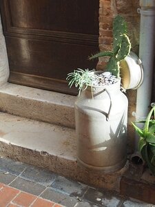BALADE BUCOLIQUE DANS ANTIBES, 0055
