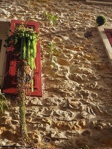 BALADE BUCOLIQUE DANS ANTIBES, 0056