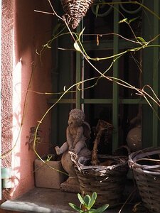 BALADE BUCOLIQUE DANS ANTIBES, 0057