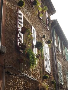 BALADE BUCOLIQUE DANS ANTIBES, 0058
