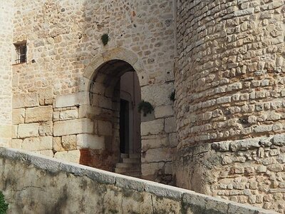 BALADE BUCOLIQUE DANS ANTIBES, 0061