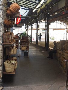 BALADE BUCOLIQUE DANS ANTIBES, 0064