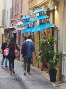 BALADE BUCOLIQUE DANS ANTIBES, 0065