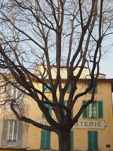 BALADE BUCOLIQUE DANS ANTIBES, 0068