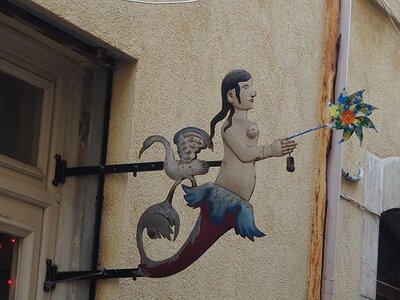 BALADE BUCOLIQUE DANS ANTIBES, 0076