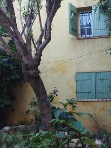 BALADE BUCOLIQUE DANS ANTIBES, 0078