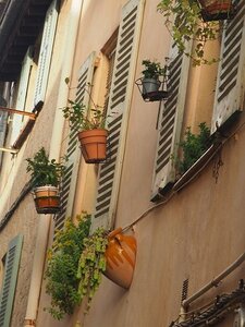 BALADE BUCOLIQUE DANS ANTIBES, 0080