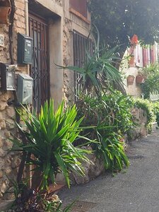 BALADE BUCOLIQUE DANS ANTIBES, 0082