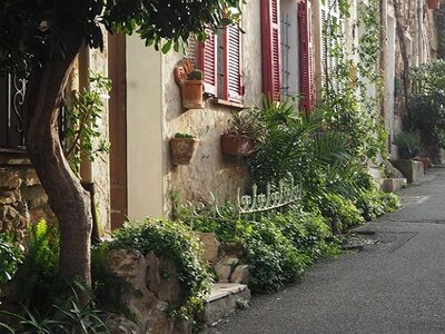 BALADE BUCOLIQUE DANS ANTIBES, 0083