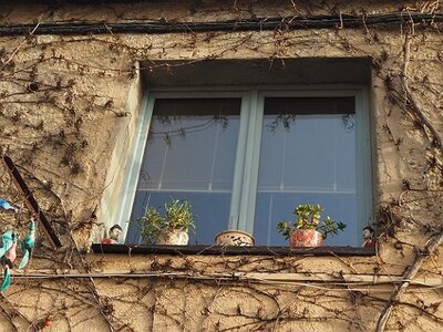 BALADE BUCOLIQUE DANS ANTIBES, 0086