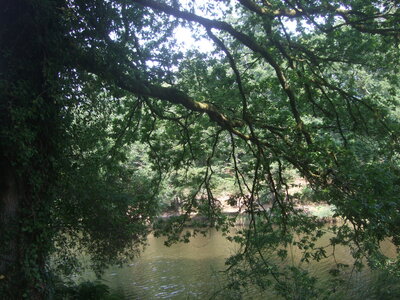 Parc de Kergoff Caudan 2012<br>@copyleft <a href=https://www.le-fab-lab.com>Le Fab'Blab</a> Licence Art Libre, 2012-07-27-caudan-kergoff-17