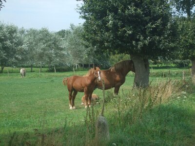 Entre Malestroit et le Roc St André<br>@copyleft <a href=https://www.le-fab-lab.com>Le Fab'Blab</a> Licence Art Libre, canal-malestroit-le-roc-st-andre-31