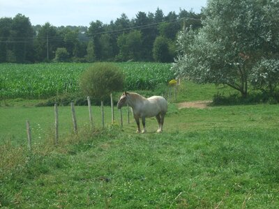 Entre Malestroit et le Roc St André<br>@copyleft <a href=https://www.le-fab-lab.com>Le Fab'Blab</a> Licence Art Libre, canal-malestroit-le-roc-st-andre-35