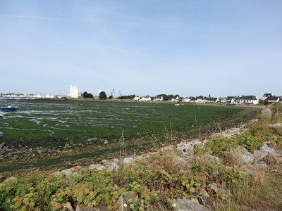 Locmiquelic 2012<br>@copyleft <a href=https://www.le-fab-lab.com>Le Fab'Blab</a> Licence Art Libre, locmiquelic-port-louis-01