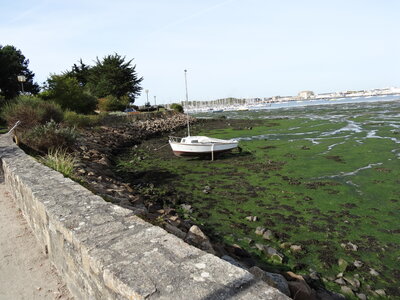 Locmiquelic 2012<br>@copyleft <a href=https://www.le-fab-lab.com>Le Fab'Blab</a> Licence Art Libre, locmiquelic-port-louis-07