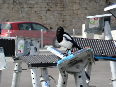 Locmiquelic 2012<br>@copyleft <a href=https://www.le-fab-lab.com>Le Fab'Blab</a> Licence Art Libre, locmiquelic-port-louis-70