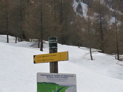 Raquettes Les Ribes, IMG_7082