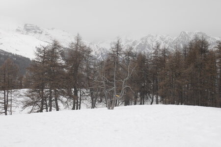 2021-02-22-24-ski-de-randonnee-etoiles-en-ecrins, alpes-aventure-ski-randonnee-puy-saint-vincent-2021-02-22-07