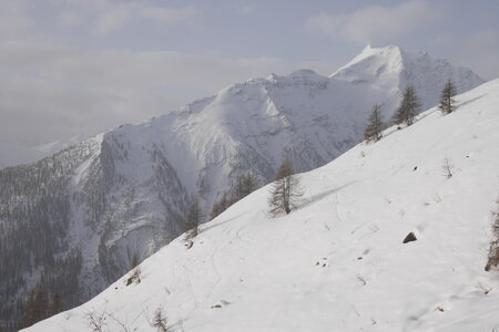 2021-02-22-24-ski-de-randonnee-etoiles-en-ecrins, alpes-aventure-ski-randonnee-clot-la-niere-2021-02-23-06