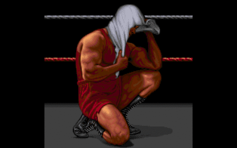 Amiga Pixel art 1, AlfredoSiragusa-TopWrestling_Lose