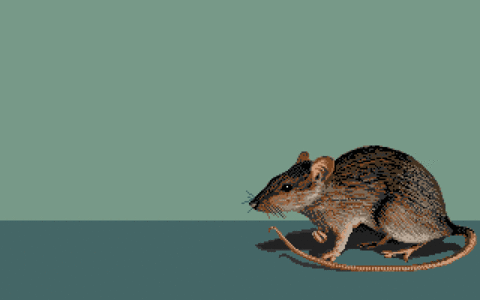 Amiga Pixel art 1, JimSachs-JimSachs_PortsOfCall_Rats